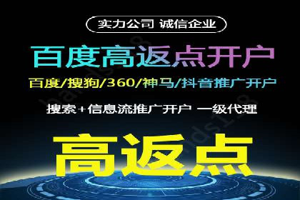 百度竞价推广案例：行业领军者成长故事